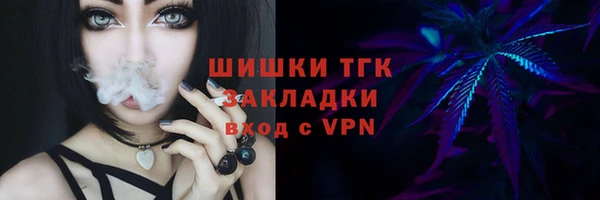 PSILOCYBIN Алзамай