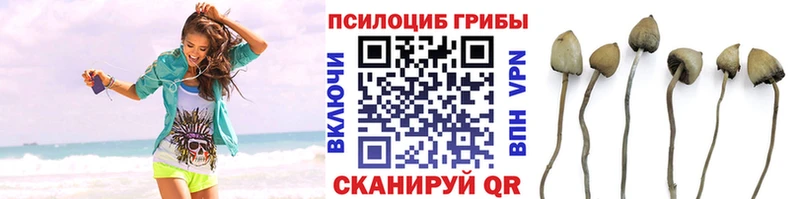 Галлюциногенные грибы MAGIC MUSHROOMS  как найти   Качканар 